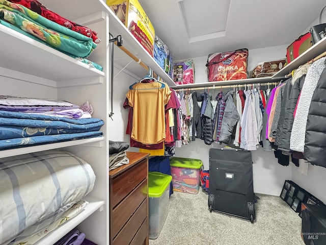 spacious closet with carpet flooring and attic access