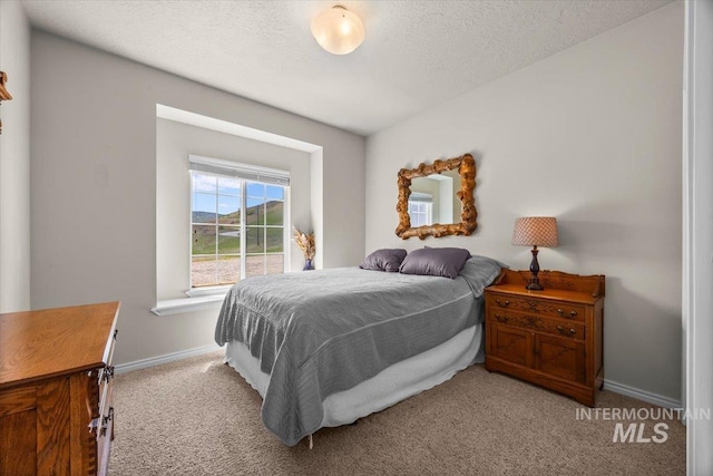 160 Summit Ridge Rd, Horseshoe Bend, ID 83629 - bedroom featuring light carpet, baseboards, and a textured ceiling