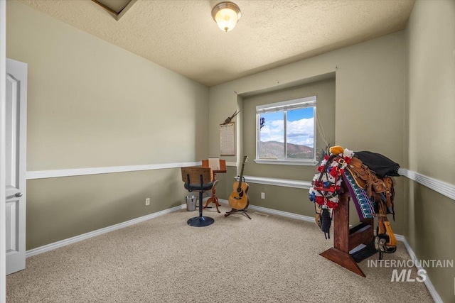 160 Summit Ridge Rd, Horseshoe Bend, ID 83629 - miscellaneous room with carpet flooring, a textured ceiling, and baseboards