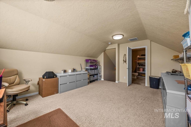 160 Summit Ridge Rd, Horseshoe Bend, ID 83629 - office featuring a textured ceiling, light carpet, lofted ceiling, and baseboards