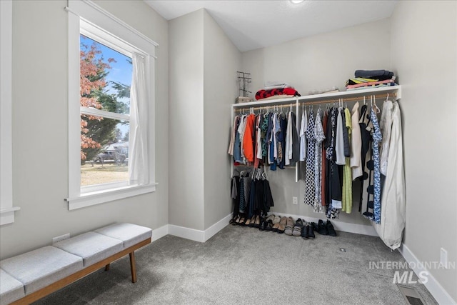 spacious closet featuring carpet