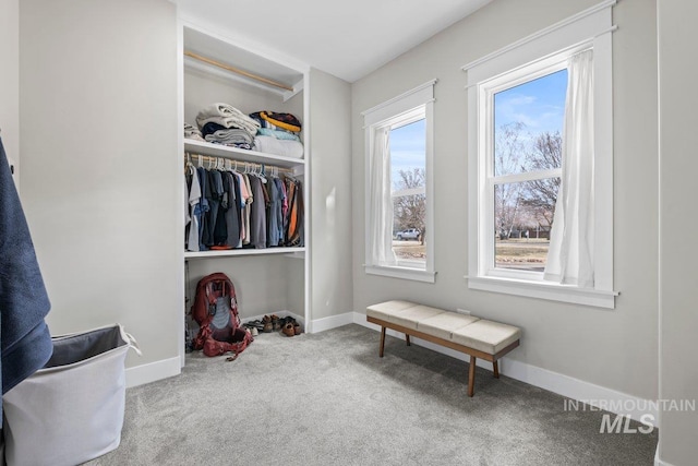 walk in closet with carpet floors