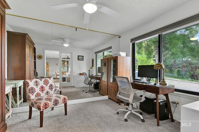 713 E Harcourt Rd, Boise, ID 83702 - office space with light carpet, ceiling fan, and a textured ceiling
