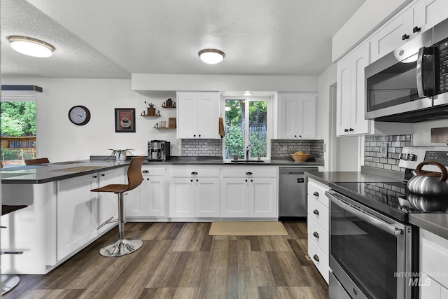 713 E Harcourt Rd, Boise, ID 83702 - kitchen featuring appliances with stainless steel finishes, dark countertops, a peninsula, plenty of natural light, and a textured ceiling