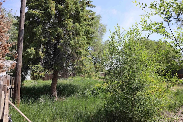 22482 Blessinger Rd, Star, ID 83669 - view of local wilderness