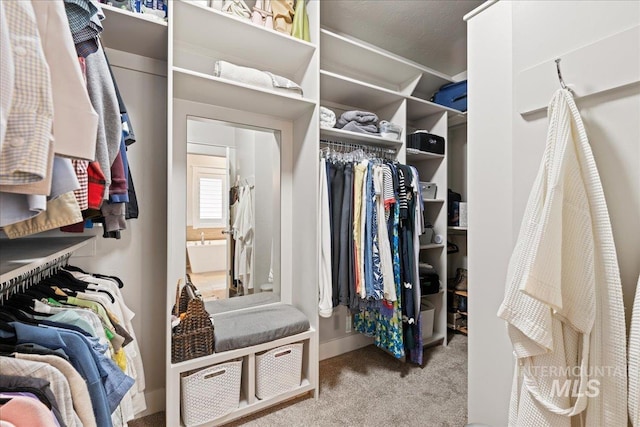 4071 S Twilight Rise Ave, Meridian, ID 83642 - spacious closet with carpet floors