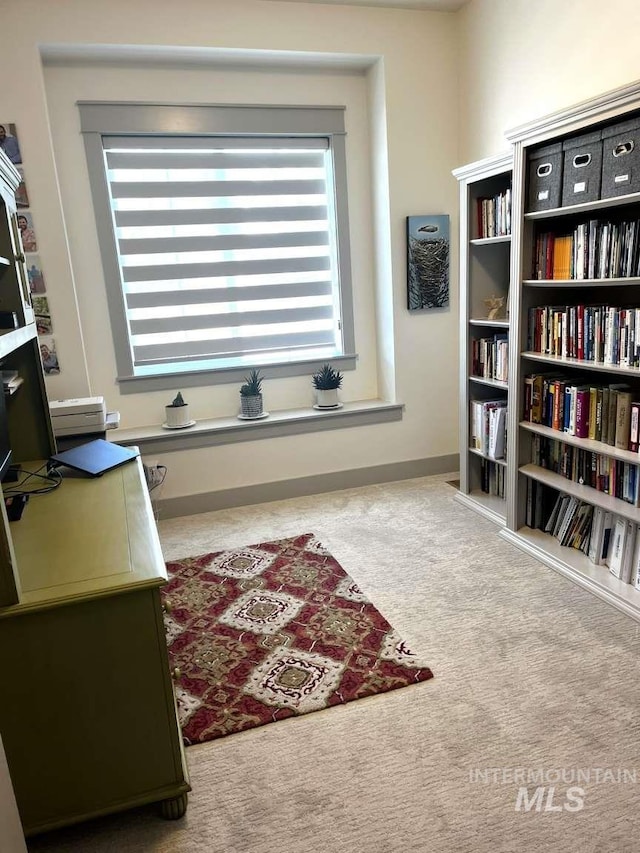 11703 W Amsonia, Star, ID 83669 - office featuring carpet flooring and healthy amount of natural light