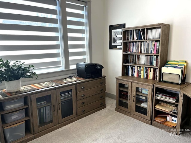 11703 W Amsonia, Star, ID 83669 - view of carpeted office