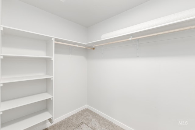 1396 W Malad River St, Meridian, ID 83642 - spacious closet with carpet