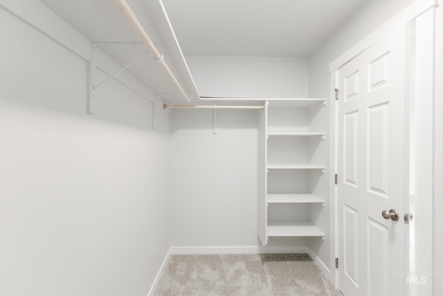 1396 W Malad River St, Meridian, ID 83642 - spacious closet featuring carpet floors