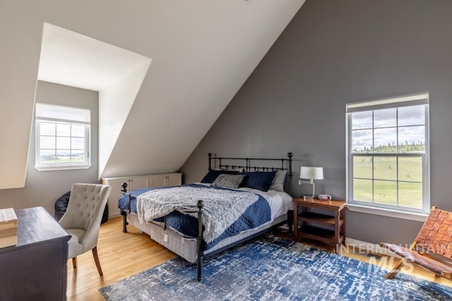 1027 Larkspur, Moscow, ID 83843 - bedroom with wood finished floors, multiple windows, and lofted ceiling