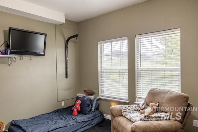 1027 Larkspur, Moscow, ID 83843 - bedroom with carpet flooring and multiple windows