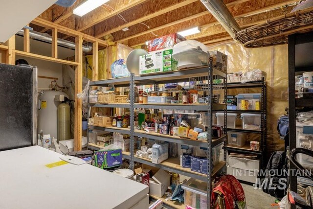 1027 Larkspur, Moscow, ID 83843 - view of storage area