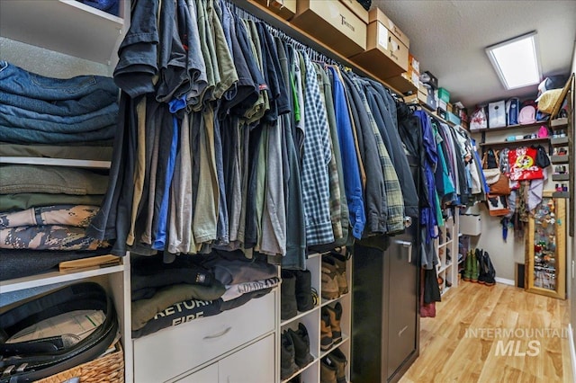 1011 Filer Ave W, Twin Falls, ID 83301 - walk in closet featuring light wood-style floors