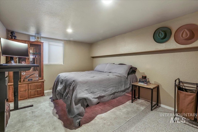 1011 Filer Ave W, Twin Falls, ID 83301 - bedroom with light colored carpet, baseboards, and a textured wall