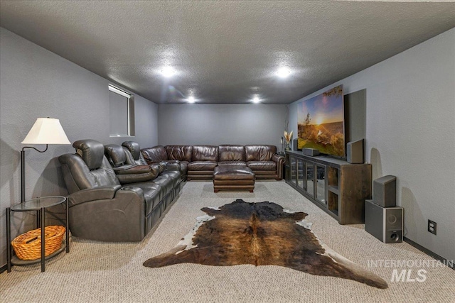 1011 Filer Ave W, Twin Falls, ID 83301 - living area featuring carpet flooring, a textured ceiling, and baseboards