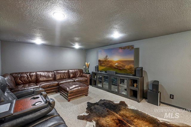 1011 Filer Ave W, Twin Falls, ID 83301 - carpeted living area with a textured ceiling and a textured wall