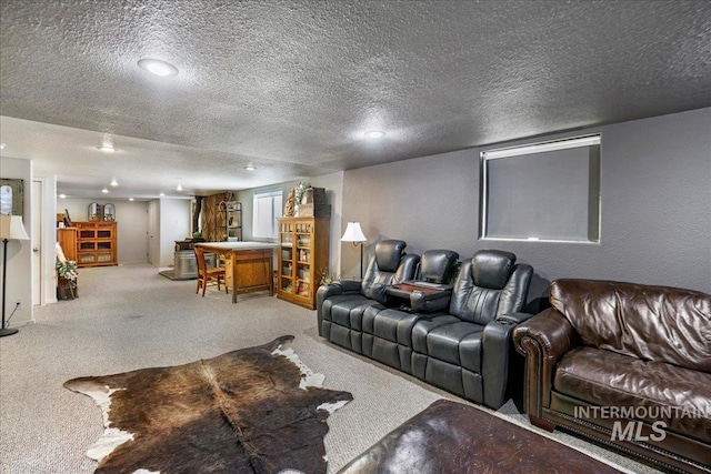1011 Filer Ave W, Twin Falls, ID 83301 - home theater featuring carpet floors and a textured ceiling