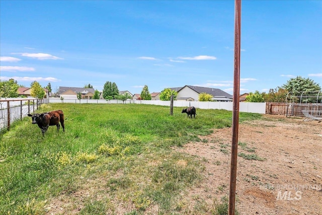 1011 Filer Ave W, Twin Falls, ID 83301 - view of yard