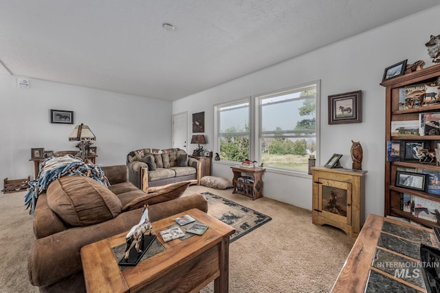 2093 Seid Creek Rd, Cambridge, ID 83610 - living area featuring light carpet