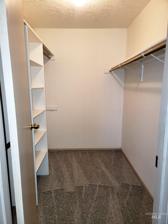 spacious closet featuring carpet floors