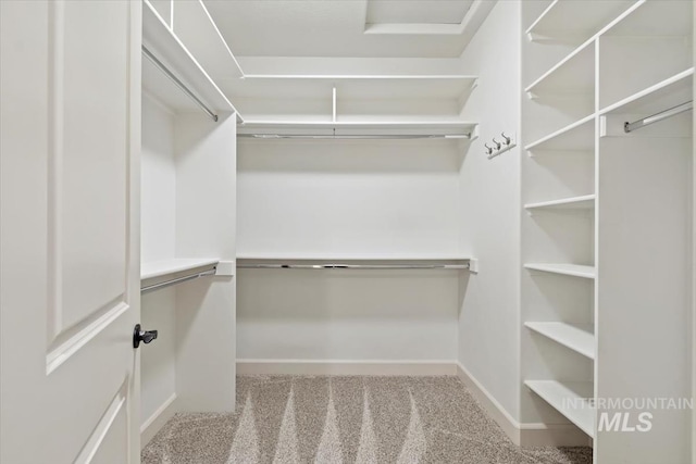 6964 N Moon Drummer Way, Meridian, ID 83646 - walk in closet featuring carpet