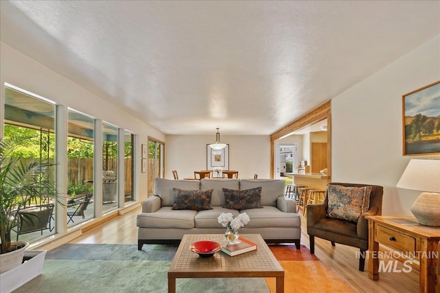 424 N Mobley Dr, Boise, ID 83712 - living area with light wood-type flooring