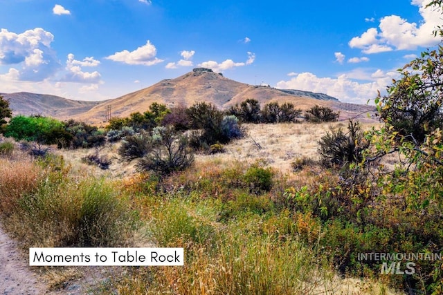 424 N Mobley Dr, Boise, ID 83712 - view of mountain background