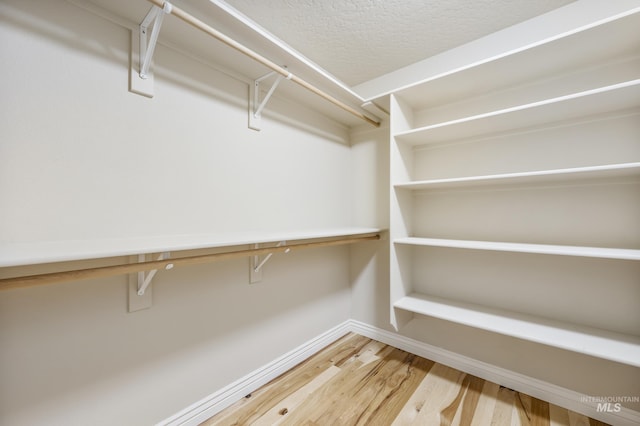 spacious closet featuring wood finished floors