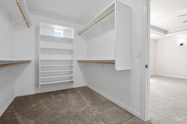1041 Lupine Ln, Kimberly, ID 83341 - walk in closet with carpet floors and ceiling fan