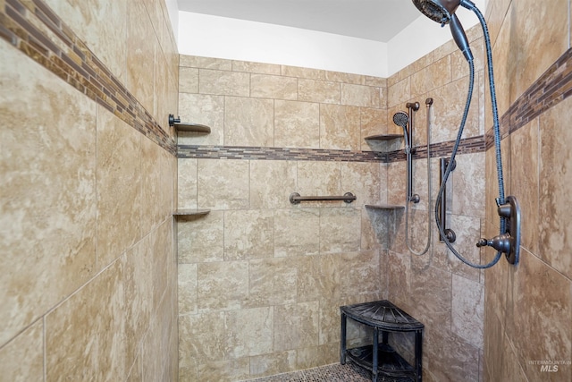 1041 Lupine Ln, Kimberly, ID 83341 - bathroom featuring tiled shower