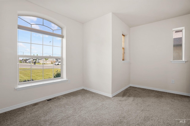 1041 Lupine Ln, Kimberly, ID 83341 - spare room with plenty of natural light and carpet floors