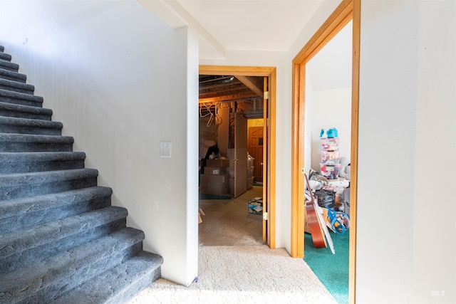 stairway with carpet flooring