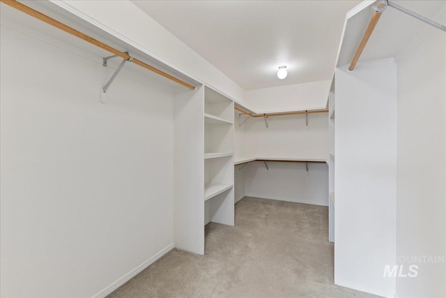 walk in closet featuring light colored carpet