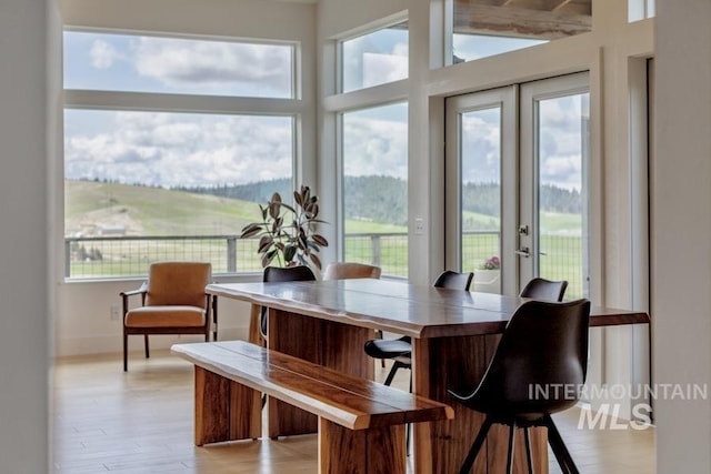sunroom with a wealth of natural light and french doors