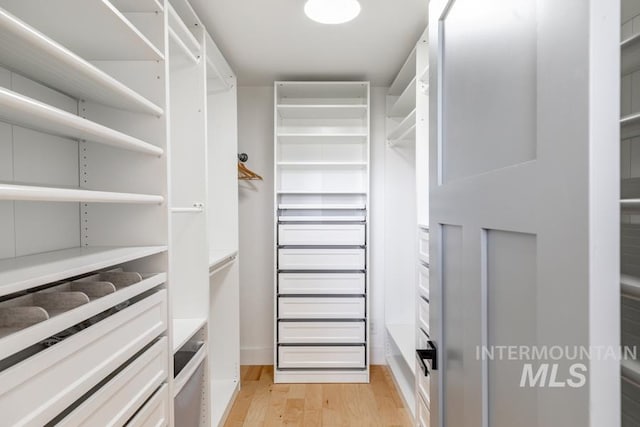 walk in closet featuring light wood finished floors