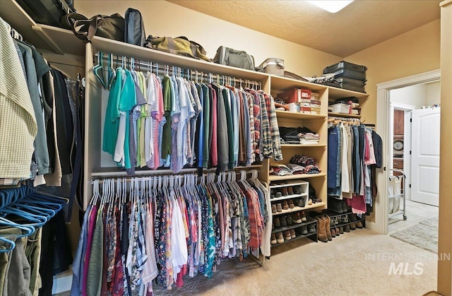 10318 W Adirondack Ct, Star, ID 83669 - spacious closet with carpet