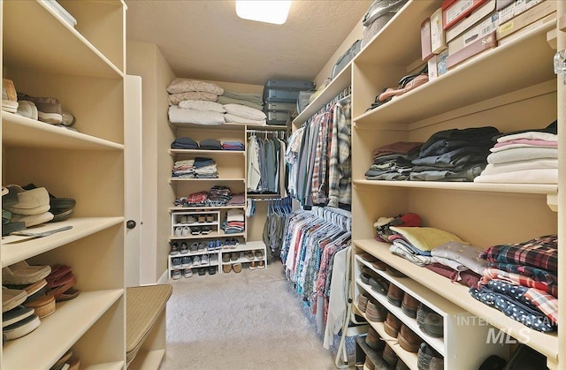 10318 W Adirondack Ct, Star, ID 83669 - walk in closet with carpet