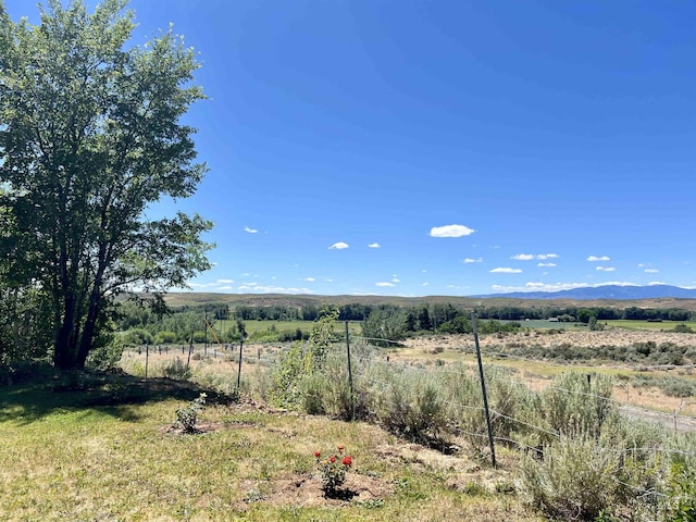 view of yard featuring a mountain view and a rural view