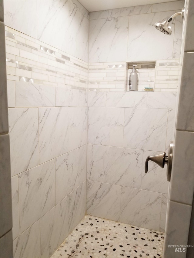 3847 N 2456 E, Filer, ID 83328 - bathroom featuring a tile shower