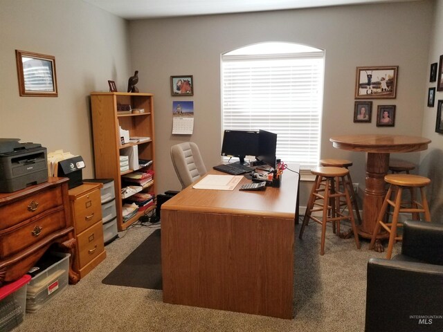 3847 N 2456 E, Filer, ID 83328 - view of carpeted office space