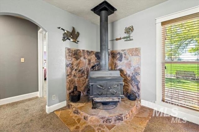 room details with arched walkways, carpet, a wood stove, and baseboards