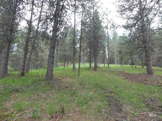 22743 Old Melrose Grade, Peck ID, 83545 land for sale