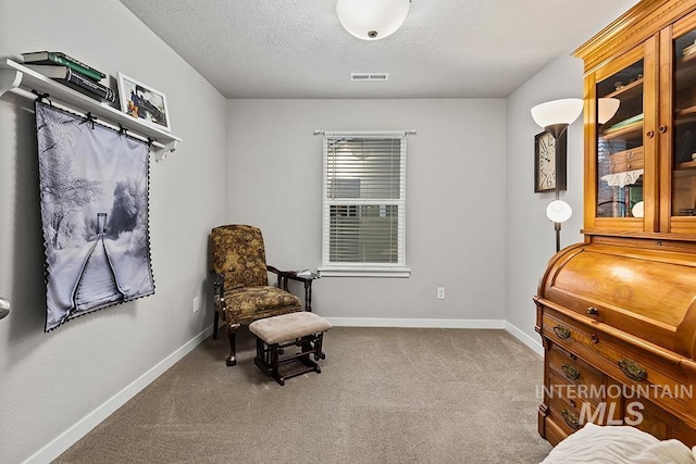 living area with carpet flooring and a textured ceiling