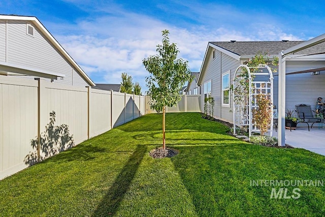 view of yard featuring a patio area