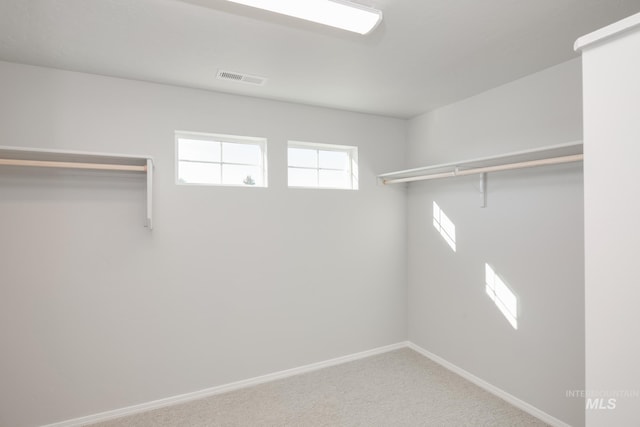 4082 E White Plains St, Nampa, ID 83686 - spacious closet featuring visible vents and carpet
