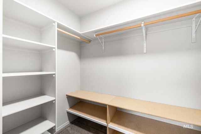 12850 Conner St, Caldwell, ID 83607 - spacious closet featuring carpet floors