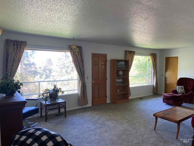 living room with a textured ceiling and carpet