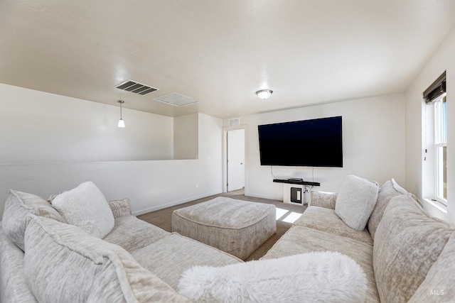 home theater featuring carpet flooring