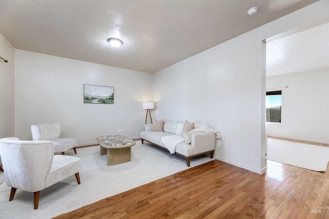 living room featuring light hardwood / wood-style floors